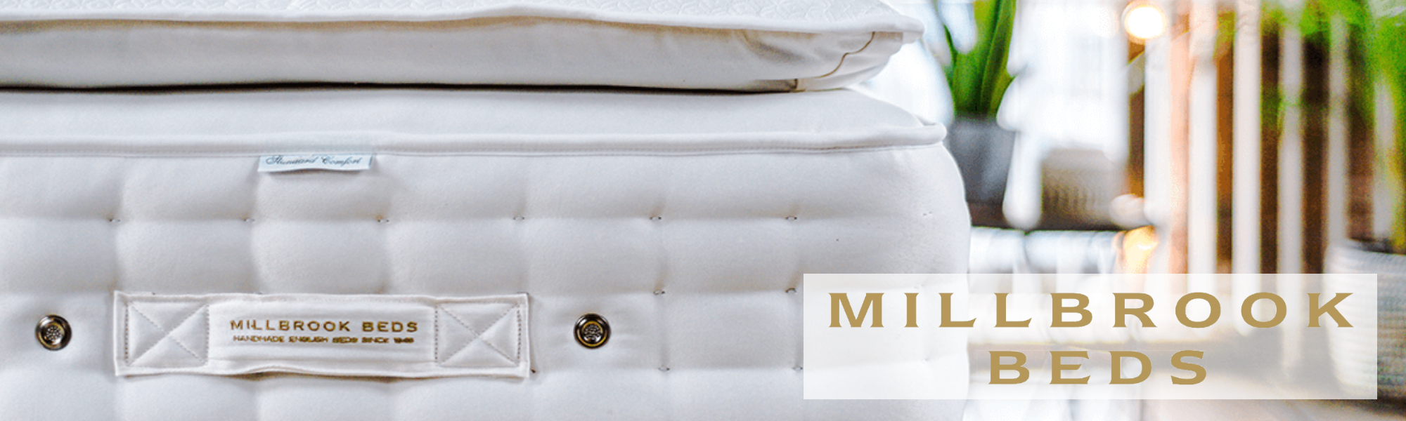 Millbrook Electric Beds